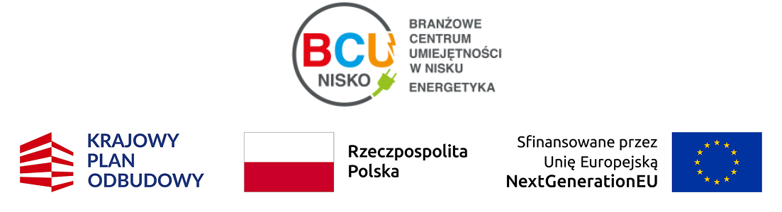 BCU w dziedzinie Energetyki w Nisku